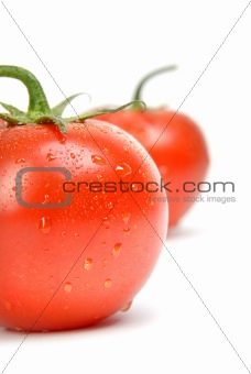 tomato wet 