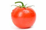 tomato single