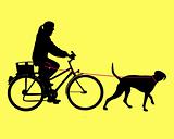 Woman on bicycle with dog on leash