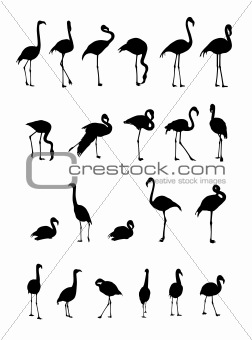 flamingo silhouettes collection