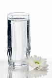 Glass of water with flower