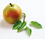 Fresh pear with leaf