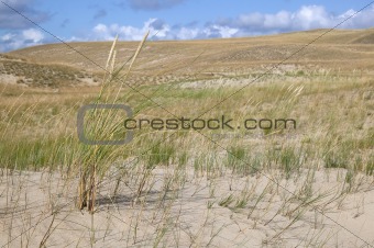 Dune with sky background