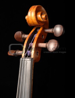 violin scroll and pegbox