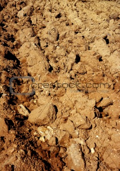 Agriculture field red clay soil texture