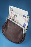 Euro purse