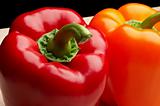 Red and orange bell peppers