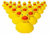 Group of rubber duckies