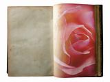 Rose printed on the pages of an open old book