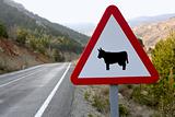European traffic sign, cows on the road
