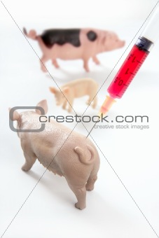 Swine flu A H1N1 vaccine metaphor