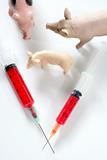 Swine flu A H1N1 vaccine metaphor