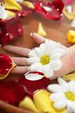 Aromatherapy, flowers hand bath, rose petal