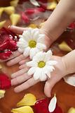 Aromatherapy, flowers hand bath, rose petal