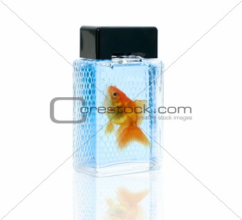 perfume bottle with gold fish