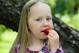 Happy little girl eating a strawberry. 