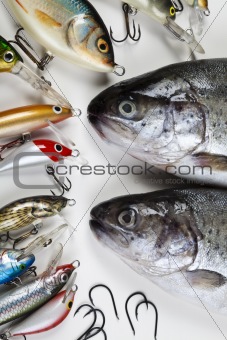 Collection of fly fishing