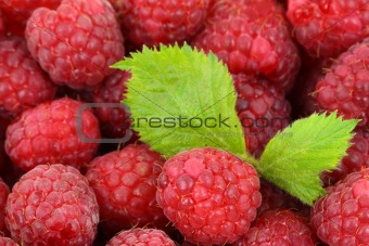 Raspberry Background