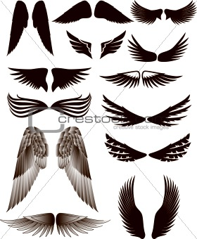 Eagle Wings Drawing on Image Id  2030304   Image Type  Vector Illustration