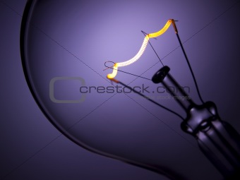 Bulb light over purple