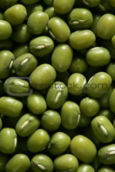 Green soya beans texture