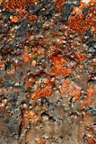Rusty steel texture, rusted metal surfaces