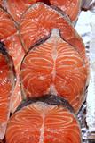 Salmon fish vivid slices in a row