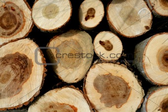Stacked wooden logs, tree trunks