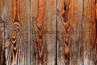 Aged old wood texture, ancient wooden door