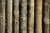 Wood natural striped trunks wall, fence, traditional wood architecture