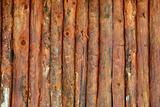Vertical wood trunks wall texture