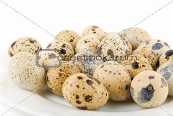delicatessen quail eggs