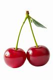 Two Cherries (path isolated)