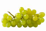 Close-up of a bunch of grapes (path isolated)