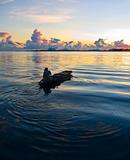 A local fisherman rows his boat during sunrise