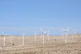 Wind turbines for renewable energy. Canary Island Fuerteventura