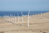 Wind turbines for renewable energy. Canary Island Fuerteventura