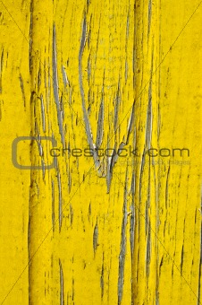 old natural pine wood fence yellow