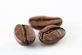 Coffee bean close up