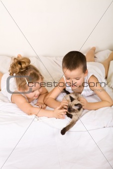 Kids laying in bed playing with their kitten