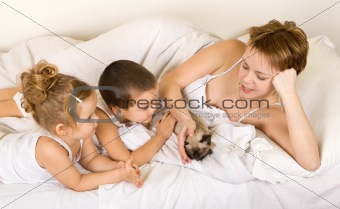 Familiy playing with a little kitten laying in bed