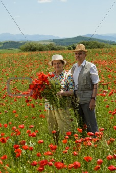 Senior couple on the flower field