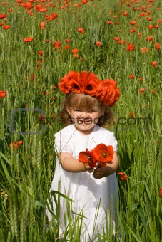 Little girl on the green wheat field with poppies