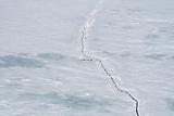 Sea ice on Antarctica