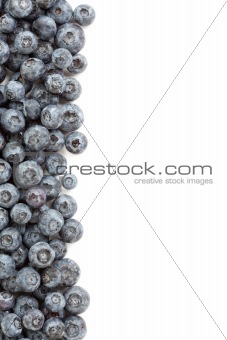 Fresh Blueberries Border Isolated on a White Background.