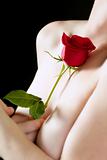 Beautiful woman body holding red rose 