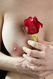 Beautiful woman body holding red rose 