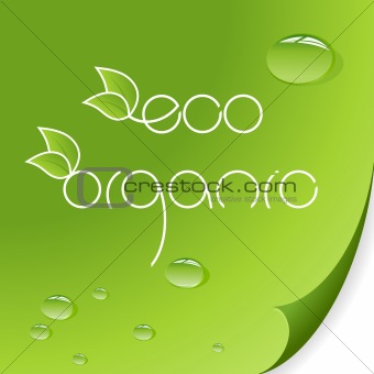 Eco and organic logos on green background.