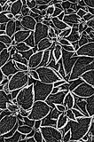 nettle fibre plant