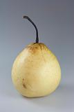 Chinese pear